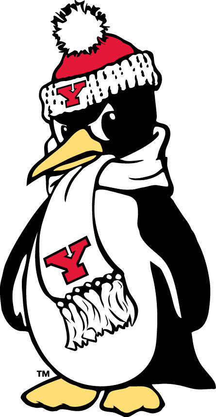 Youngstown State Penguins 1993-Pres Alternate Logo t shirts DIY iron ons v4